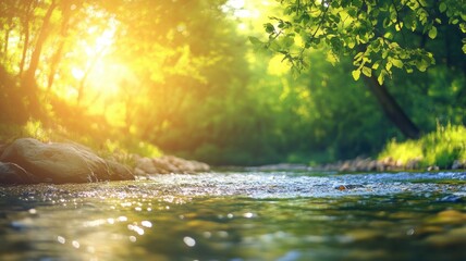 Fototapeta premium Serene river flowing through sunlit forest with lush green trees and rocks
