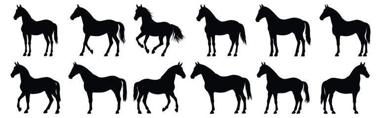 Horse silhouettes set, animal pack of vector silhouette design, isolated background.