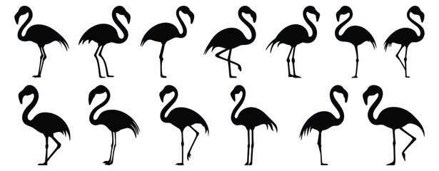 Flamingo silhouette set vector design big pack of bird illustration and icon