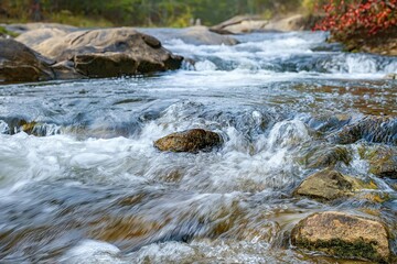 Mountain Fork River flows through Beavers Bend State Park in Oklahoma. Close-up of river surface, surrounded by forest and lush greenery. Water ripples, creating a sense of movement.