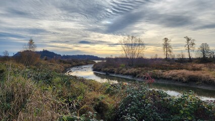 view of the river in the country
