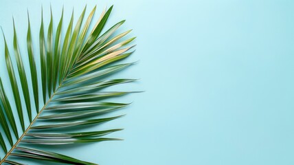 Fototapeta premium Vibrant green palm leaf against light blue background