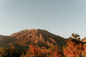 Fall in Utah