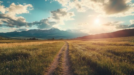 Obraz premium Dirt path through lush field towards mountains, under bright sky