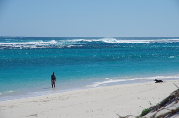 Beach Fishing in Western Australia