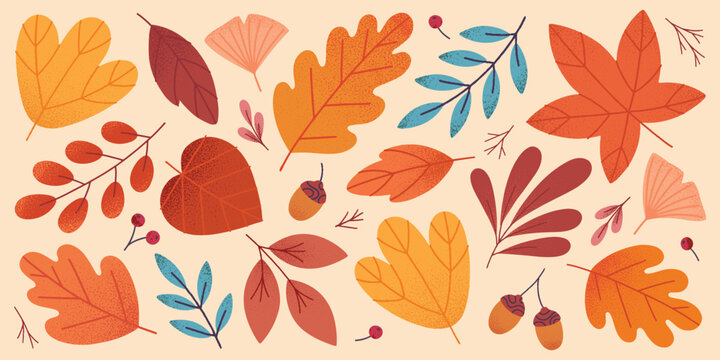 Vector set of autumn seasonal leaves,acorns,berries and plants in fall colors.Modern autumn foliage in trendy style for banners,social media marketing,patterns,branding,packaging,covers, prints.