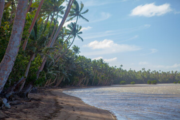 Beautiful tropical island beach with sand and palm trees, blue sky, Fiji