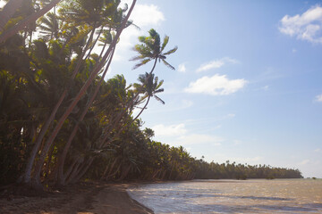 Beautiful tropical island beach with sand and palm trees, blue sky, Fiji