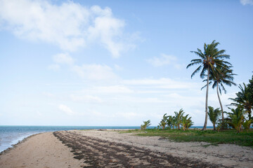 Beautiful tropical island beach with sand and palm trees, blue sky, Fiji