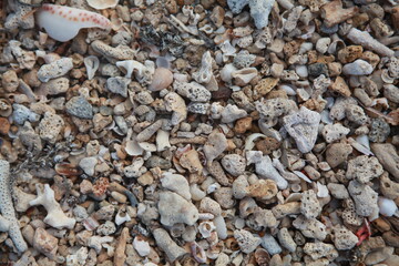 Beach sand crushed seashell background texture, colorful beautiful shell and coral fragments, Fiji