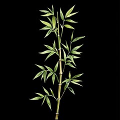 Fototapeta premium Bamboo Stalks Digital Illustration