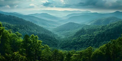 Green Forest Mountain Landscape Photo