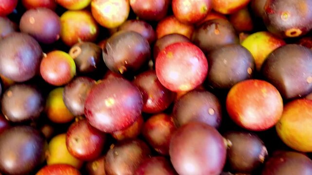 FRUTO CAMU CAMU, BAYA CON PROPIEDADES MEDICINALES 
