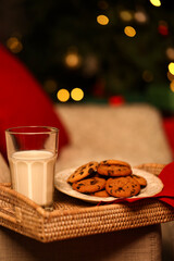 Tray with Christmas cookies and milk on sofa at night, closeup