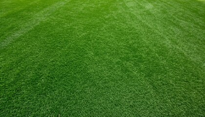 Green Grass Texture of Artificial Lawn for Sports and Golf Courses