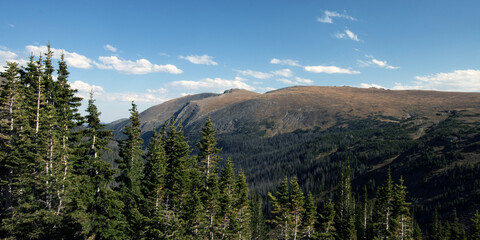 Panoramic view of the treeline and alpine tundra as seen from Old Fall River Road at Rocky Mountain National Park in Colorado