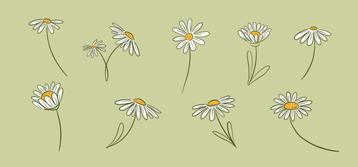 daisy flower doodle hand drawn vector illustration collection