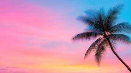Obraz premium Palm Tree Silhouette Against Vibrant Sunset Sky