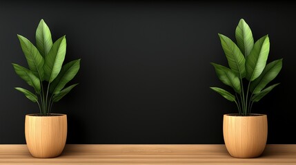 Fototapeta premium Minimalist Interior Design with Green Plants in Wooden Pots on a Black Wall and Wooden Flo