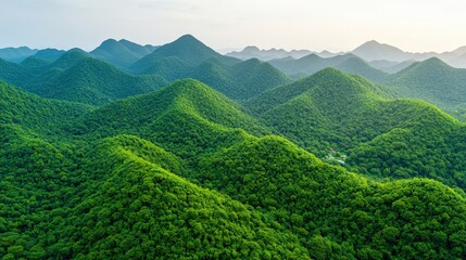 Fototapeta premium Lush Green Mountain Range Landscape Aerial View of Forested Hills