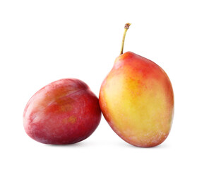 Two fresh ripe plums isolated on white