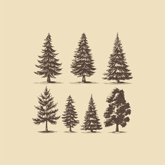 Obraz premium set of pine tree engraving style vintage design vector illustration