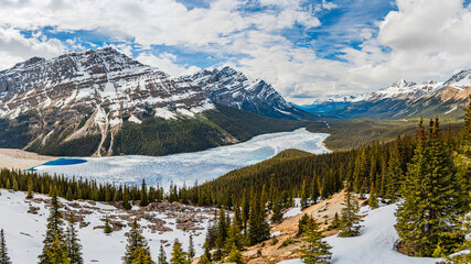Incredible spring time scenes at Peyto Lake in the Canadian Rockies during May with incredible bright blue colours in lake below massive snow capped mountians and boreal forest. 