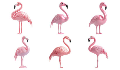 Obraz premium Set of pink flamingos standing in different poses isolated on transparent background