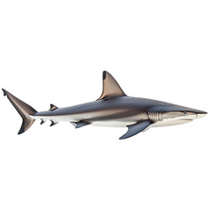 Fototapeta premium Realistic Shark Swimming in Ocean Waters