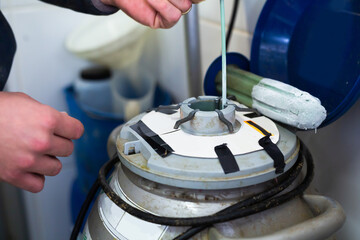 Faceless worker handling frozen bovine semen inside container with liquid nitrogen in artificial...