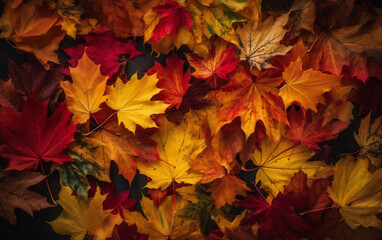 Fototapeta premium Autumn Maple Leaves Fall Foliage Red Yellow Orange Nature Texture Background