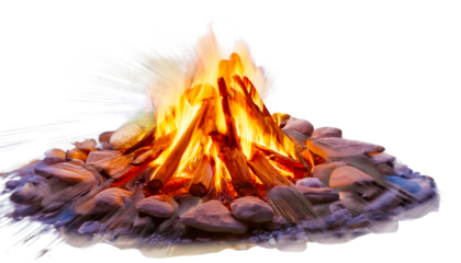 Solitary Flames Against a Blank Canvas