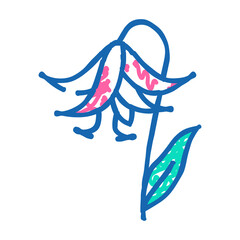 lilium natural flower doodle icon sketch vector. lilium natural flower sign. isolated symbol illustration