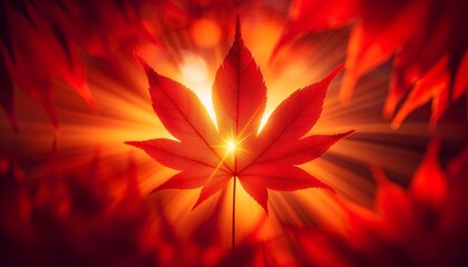 Closeup leaves with autumn colors