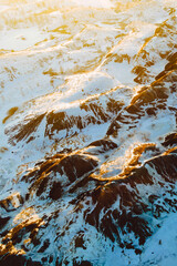 water flowing in the forest