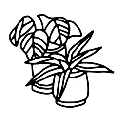 potted plants outline vector