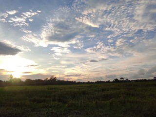 Obraz premium sunset over the field