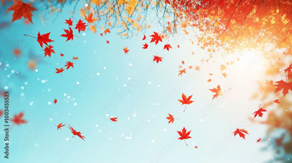 Poster red maple leaves are falling from trees on a sunny autumn day