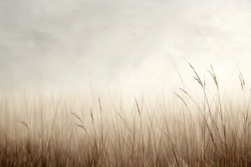 Misty Prairie Haven, an enchanting scene of a fog-covered grassland, where soft hues blend into the horizon, evoking a sense of tranquility and timeless beauty.