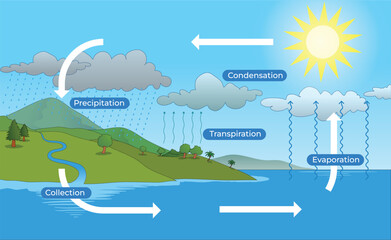 illustration of simple water cycle diagram
