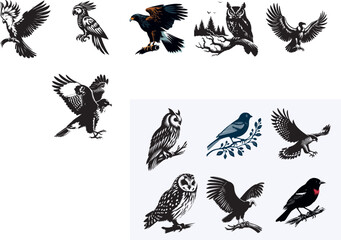 Creative 6 Birds silhouette vector style with white background