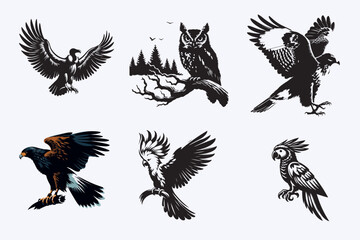 Creative 6 Birds silhouette vector style with white background