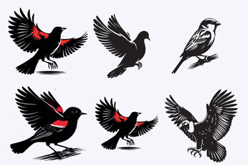 Creative 6 Birds silhouette vector style with white background