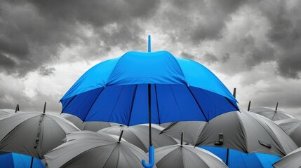 Blue umbrella popping against gray umbrellas, conveying a concept of safety and standing out in business.