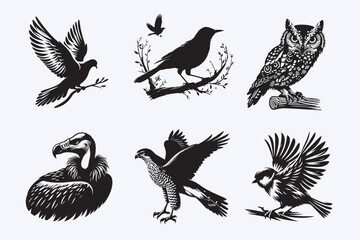 Creative 6 Birds silhouette vector style with white background