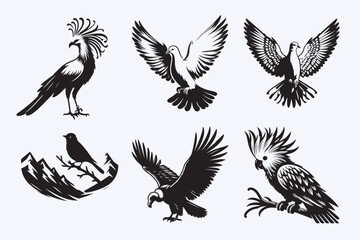 Creative 6 Birds silhouette vector style with white background