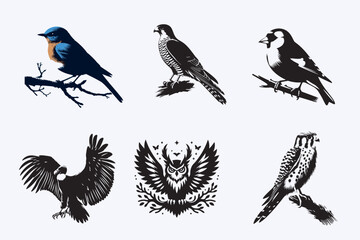 Creative 6 Birds silhouette vector style with white background