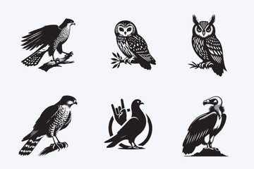 Creative 6 Birds silhouette vector style with white background