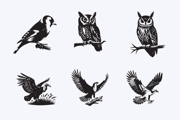 Creative 6 Birds silhouette vector style with white background