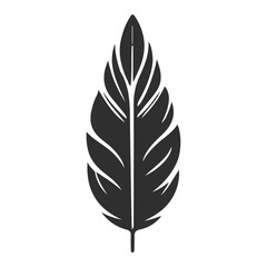 Fototapeta premium Collection Of Black and White Feather Illustration.